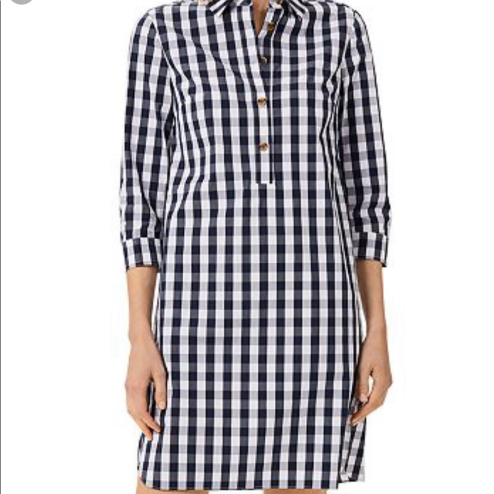 Hobbs Marciella Dress in Gingham